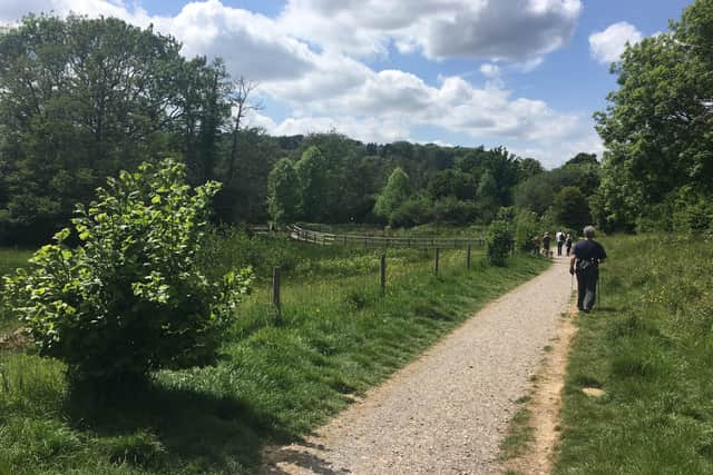 Busy path at Chesworth Farm