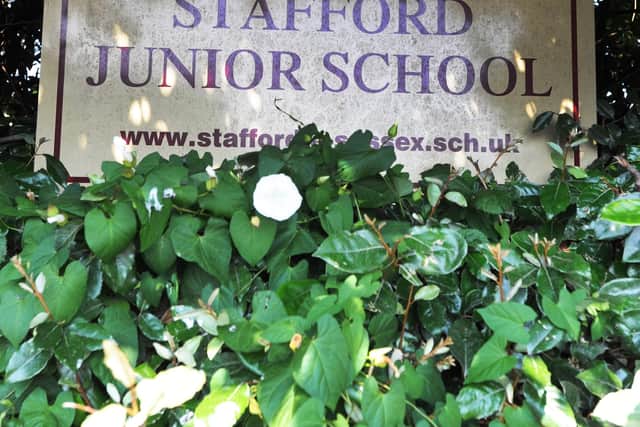 Stafford Junior School in Eastbourne (Photo by Jon Rigby) SUS-160817-225112008
