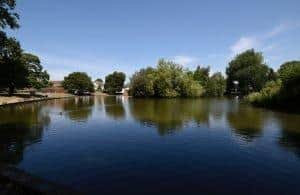 Common Pond site in Hailsham SUS-200528-123958001