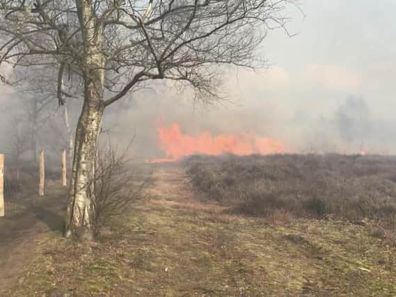 A wildfire at Iping Common