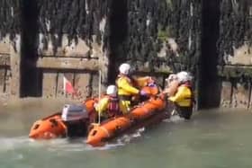 The RNLI rescued a dog from near Littlehampton Pier. Picture: Jack Mansfield