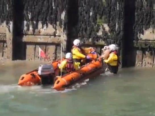 The RNLI rescued a dog from near Littlehampton Pier. Picture: Jack Mansfield