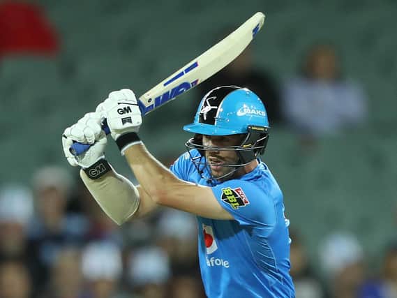 Travis Head in BBL action / Picture: Getty