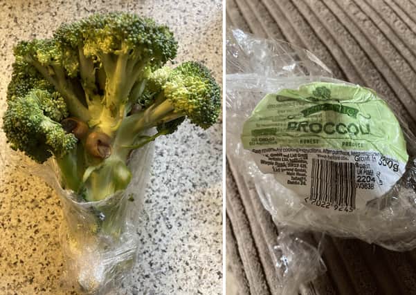 A woman was horrified to find snails on her broccoli SUS-200617-105329001