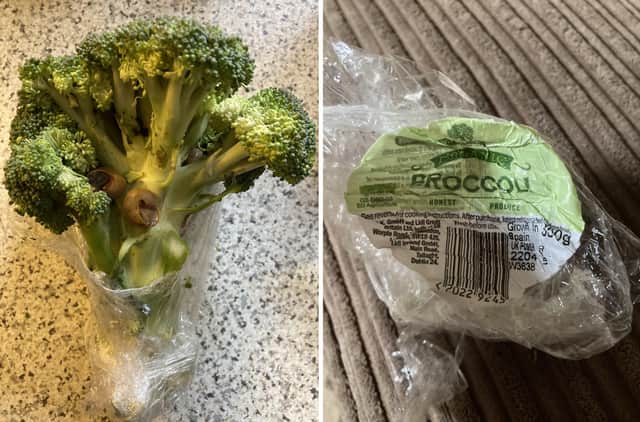 A woman was horrified to find snails on her broccoli SUS-200617-105329001