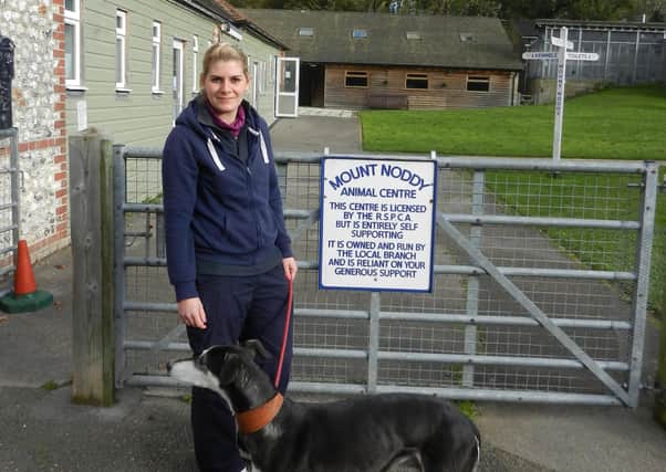 Emily Parvin with Billy at the Mount Noddy Animal Centre ENGSUS00120120811141926