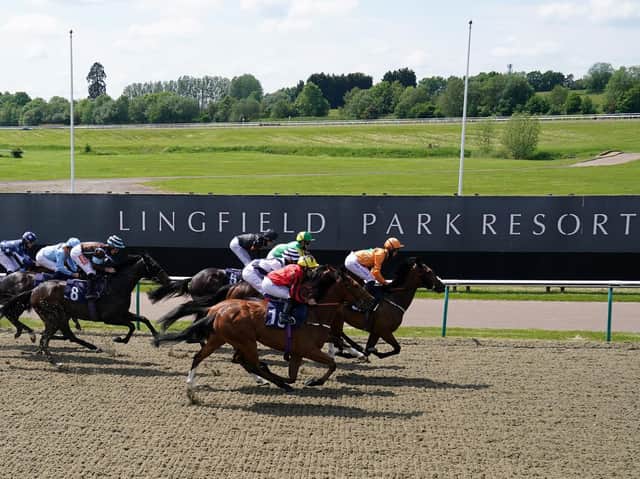It has been another scintillating year of racing at Lingfield Park and myracing are offering two lucky people the chance to celebrate on Thursday, October 28 with a pair of Trackside Restaurant tickets. Picture by John Walton - Pool/Getty Images