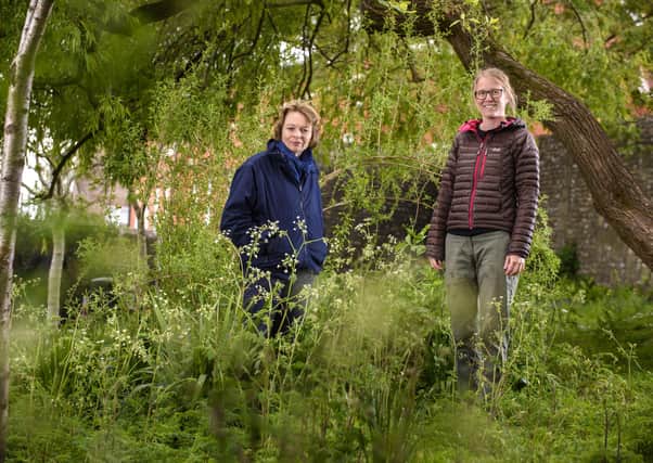 Cabinet member Penny Plant with Sophie Hamnett, the council's tree project officer (Picture by Allan Hutchings Photography