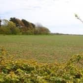 A Sussex greenfield site under threat of development. Picture by Derek Martin