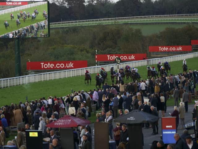A large crowd watched the season finale action at Goodwood / Picture: Clive Bennett