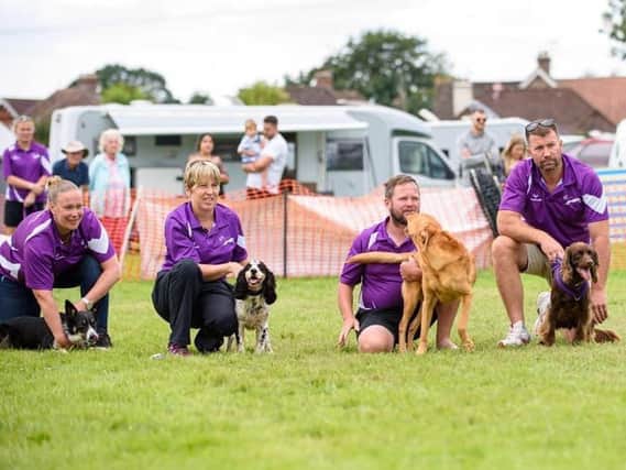 The Southern Striders are Crufts-bound