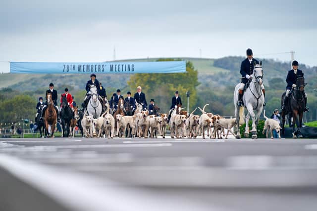 Saturday at the 78th Members' Meeting at Goodwood. Photo by Dominic James