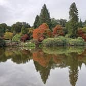 There are lots of beautiful views to enjoy the autumn canvass of colours at Sheffield Park