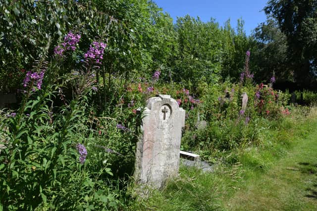 Colourful flowers in Heene Cemetery in May 2020