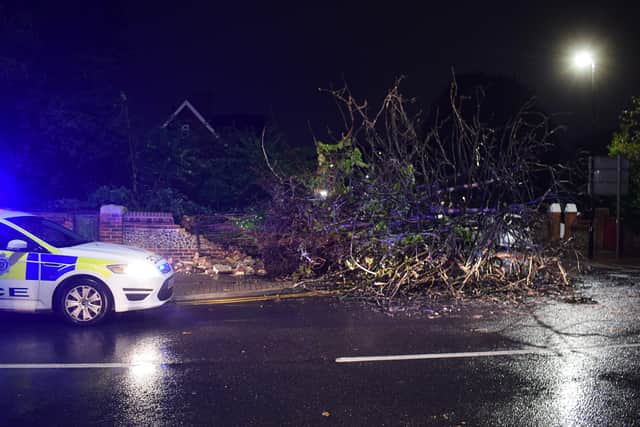The fallen tree by The Goffs in Eastbourne. Picture from Dan Jessup SUS-211021-070501001