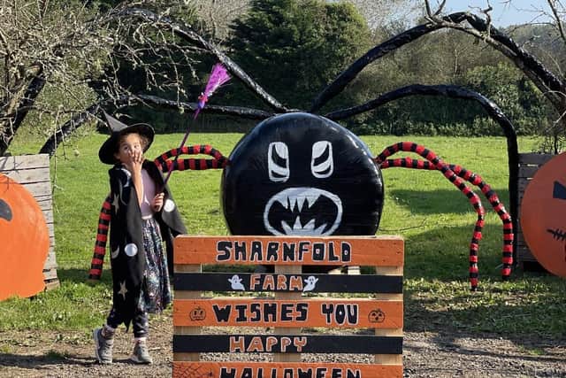 Sharnfold Farm's Halloween event SUS-211021-145126001