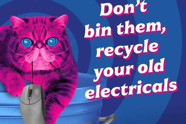 HypnoCat brings his strange powers to Mid Sussex to encourage residents to recycle their small old electrical items. Picture: Recycle Your Electricals/ Mid Sussex District Council.
