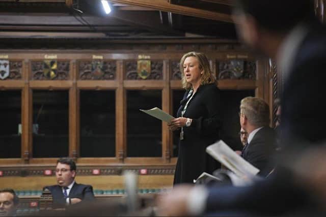Hastings and Rye MP, Sally-Ann Hart in Parliament SUS-211018-162700001