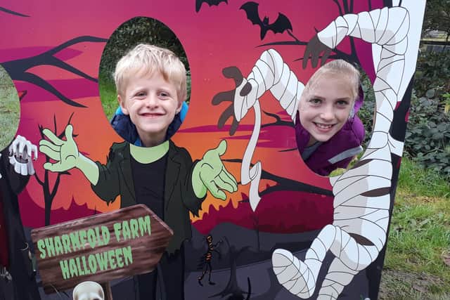 Sharnfold Farm Halloween event