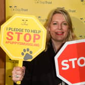 Mid Sussex MP Mims Davies met with Dogs Trust representatives to discuss puppy smuggling and the abuse of the Pet Travel Scheme (PETS). Picture: Clive Tagg.