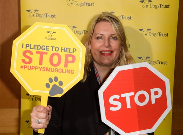 Mid Sussex MP Mims Davies met with Dogs Trust representatives to discuss puppy smuggling and the abuse of the Pet Travel Scheme (PETS). Picture: Clive Tagg.