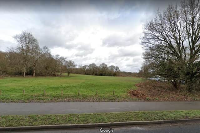 Earlswood Common (pictured) retained its gold, when the Council was awarded another nine awards in 2021 by South & South East in Bloom, along with an increased silver-gilt for Reigate Heath. Picture courtesy of Google