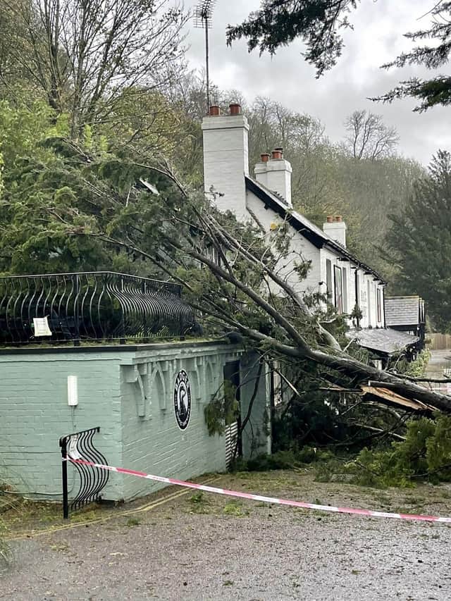 The damage caused by the tree forced the pub to close down temporarily on Sunday. SUS-210111-153953001