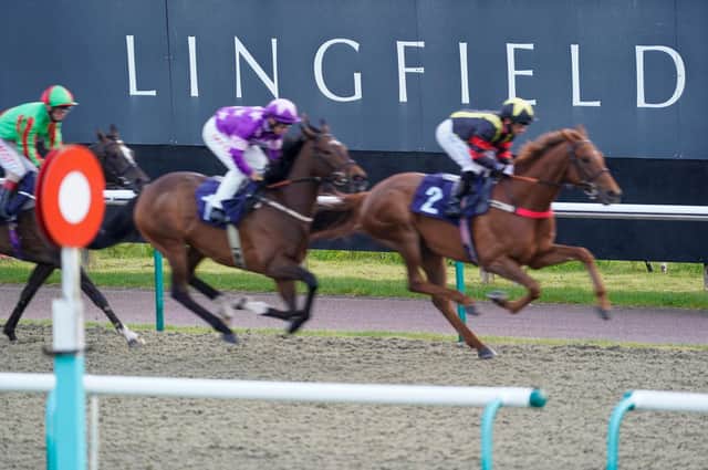 It has been another scintillating year of racing at Lingfield Park and myracing are offering two lucky people the chance to celebrate on Saturday, November 13 with a pair of Trackside Restaurant tickets. Picture by Alan Crowhurst/Getty Images