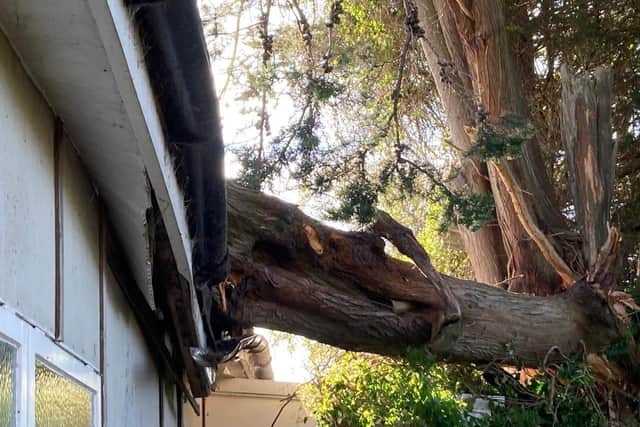 A tree weighing up to two tonnes fell on the roof during heavy winds