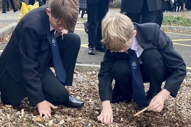Student planting their crocus corms