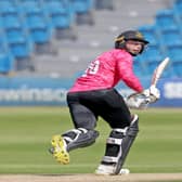 Tom Haines in one-day cup action for the Sharks in 2021 / Picture: Sussex Cricket