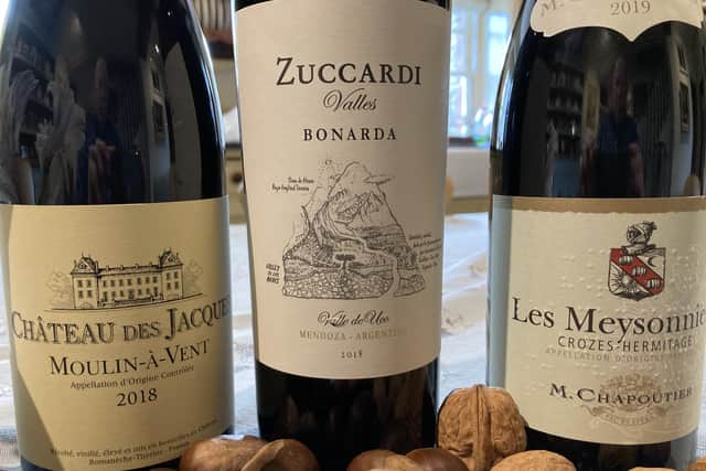Red wines to pair with hearty, satisfying meals