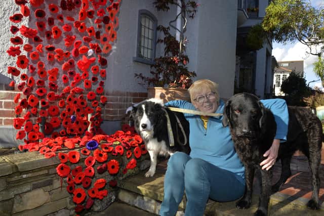 Eileen Digby-Rogers outside her house with the poppy display (Photo by Jon Rigby) SUS-210311-155826008