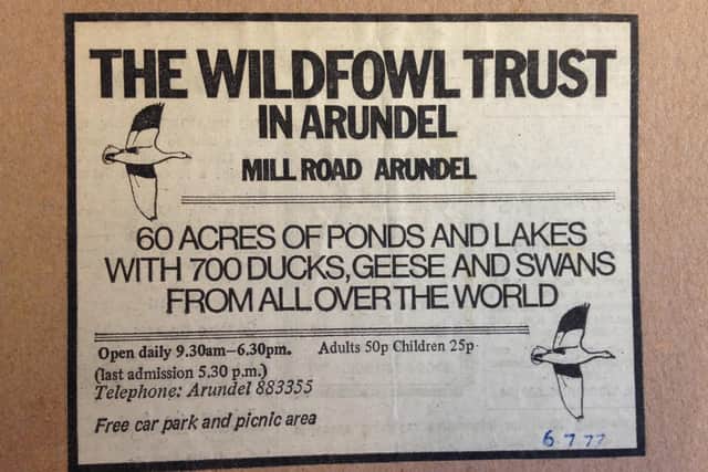 A 1977 advert for WWT Arundel