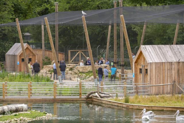 The new Coastal Creek aviary at Arundel Wetland Centre, which opened to visitors in April