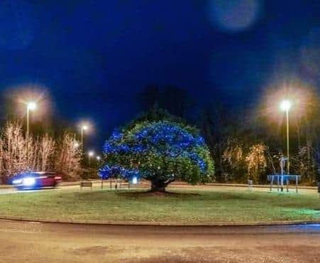 The tree on the Southwater roundabout  with its memorial baubles and Christmas lights
