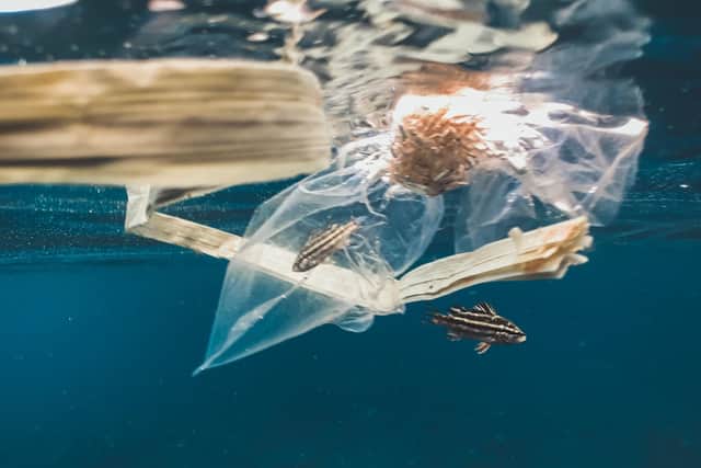 Catering, stationery, laboratories, halls of residence, offices and events will be the key areas where the university will look to eliminate the use of disposable plastics.