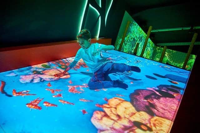 Drusillas Park's new immersive experience opens on Saturday, November 20. Picture from Drusillas Park. SUS-211115-122052001