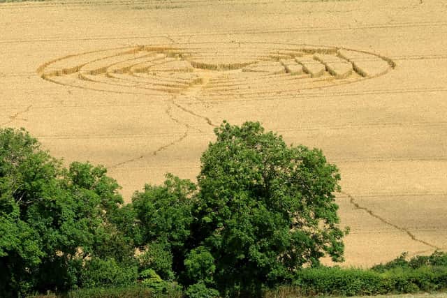 A crop circle at Wilmington in 2014. Picture by Peter Cripps.