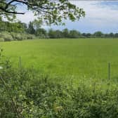 Land off Lyons Road, Slinfold, where developers want to build 45 new houses