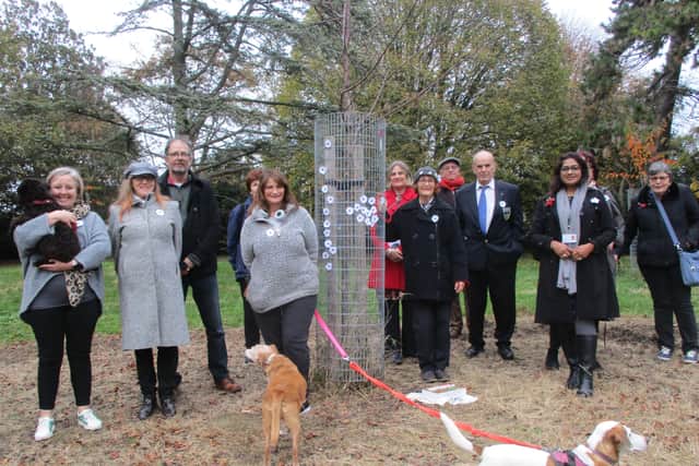 Worthing Peace Group held a Remembrance Sunday memorial ceremony on November 14th 2021, at the Peace Tree in Homefield Park. Photo by Malcolm Brett