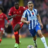 Leandro Trossard has been a key man in Brighton's attack this season