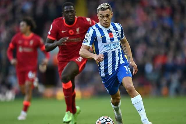 Leandro Trossard has been a key man in Brighton's attack this season