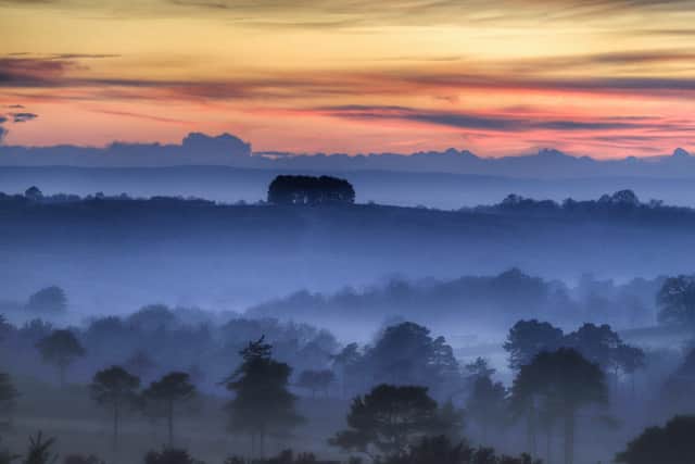 Ashdown Forest at sunset by Dave Brooker. SUS-211122-113005001