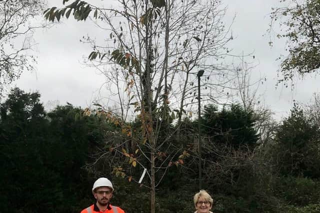 Tom Williams from Balfour Beatty Living Places delivers a flowering Japanese Cherry tree to Sue Sheppard and her Horsham  neighbours