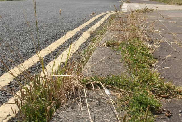 Weeds on a pavement