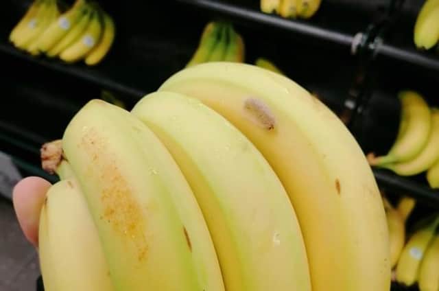 Venomous spider found in Eastbourne supermarket bananas (photo from Adam Shepherd) SUS-211124-144221001