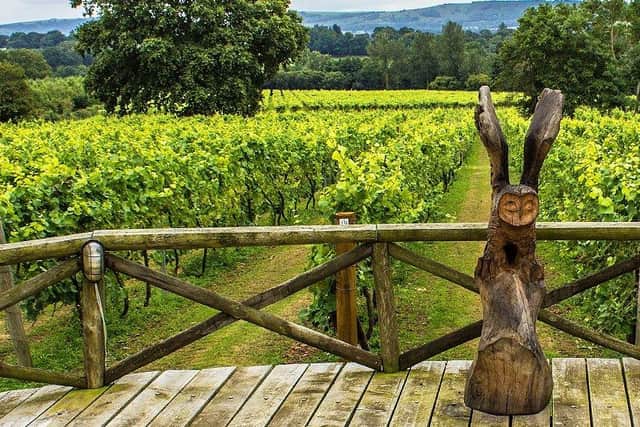 Six vineyards in Sussex have been rated among the top 20 to visit in Britain