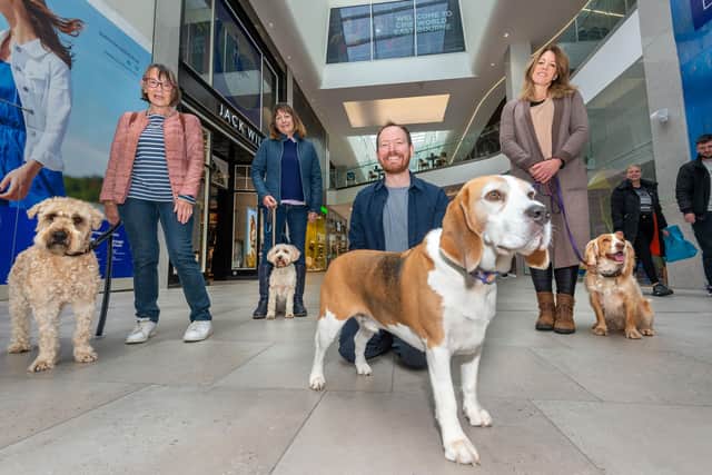James Roberts, director of The Beacon, with Barkley and other four legged visitors to the centre with their owners (L to R: Finn, Bonnie, Barkley and Ringo). Photo by Peter Cripps SUS-211018-094259001