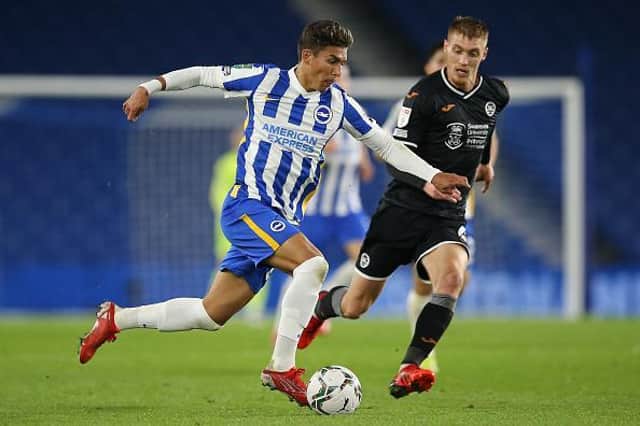 Jeremy Sarmiento has impressed since breaking into the first team at Brighton